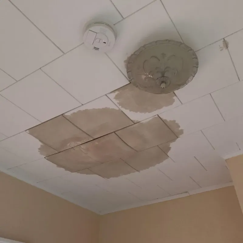 Ceiling Water Damage Repair in Ellport, PA