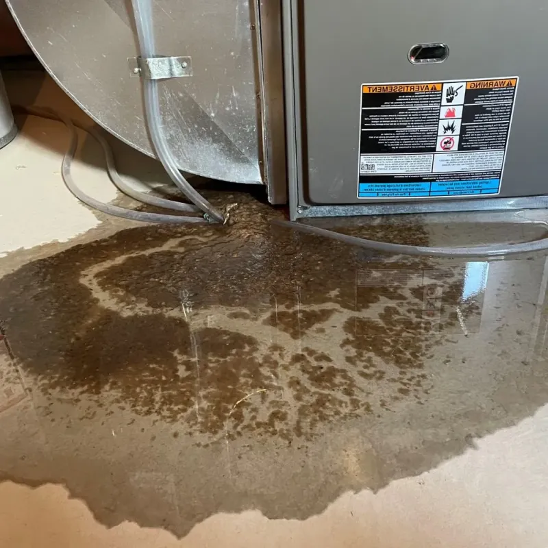 Pipe Burst and Leak Restoration in Ellport, PA