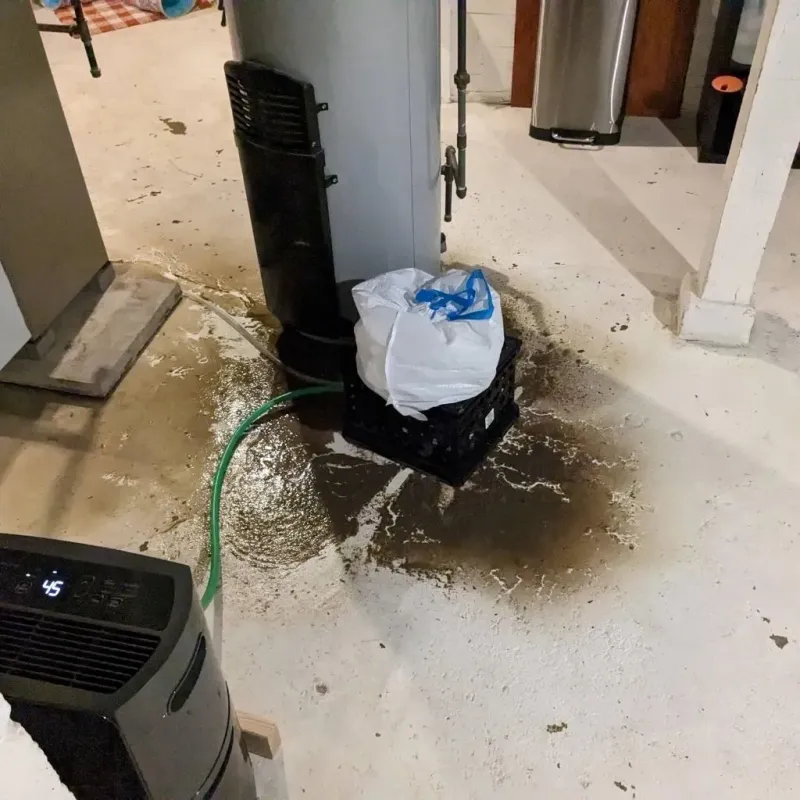 Sewage Backup Cleanup Service in Ellport, PA